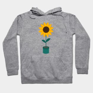 sunflower in a pot Hoodie